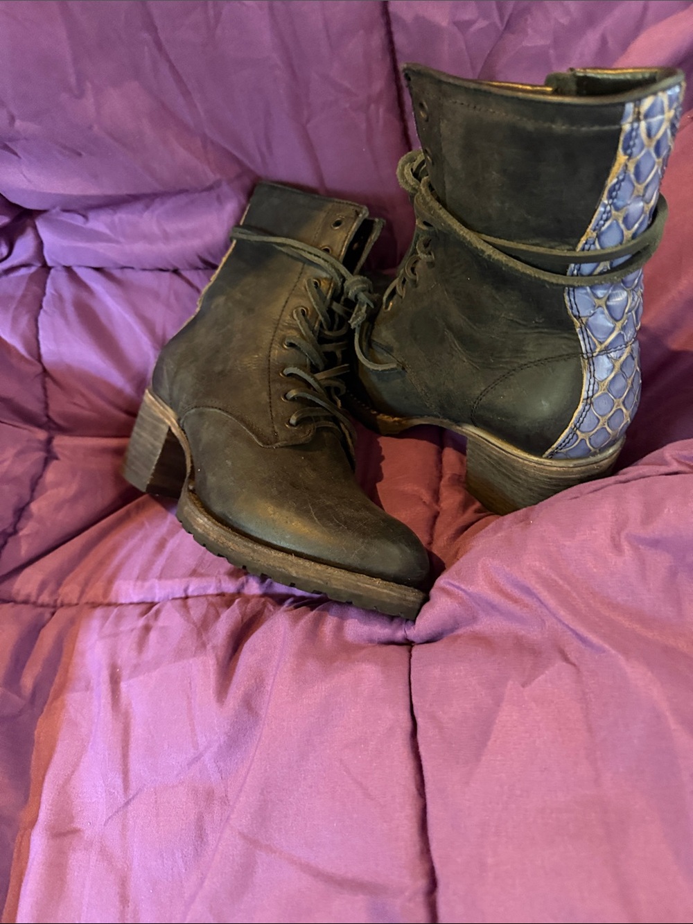 Freebirds Women's navy Ankle Boots with Blue Accent - Lace-Up Side Zip
